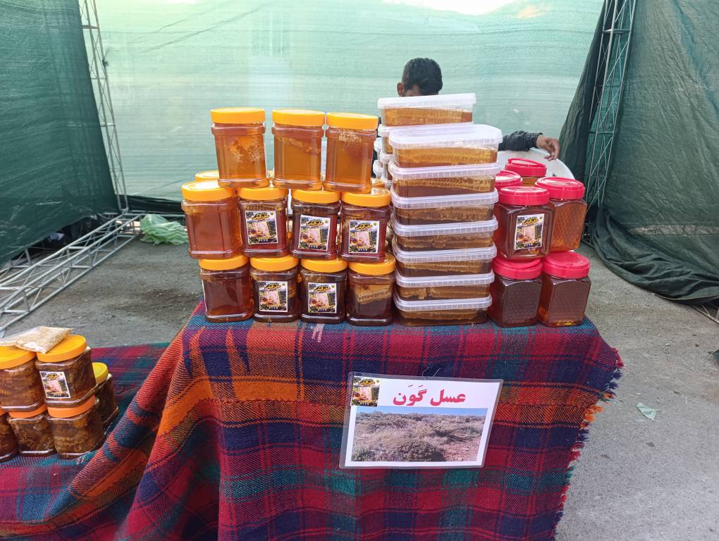 برگزاری جشنوارهای با «طعم عسل و بادام» در بخش بیلوار