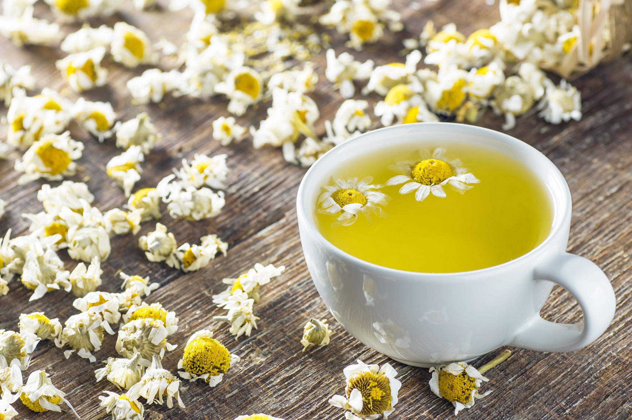 چای بابونه؛ دمنوشی آرامبخش با خواصی فراتر از تصور