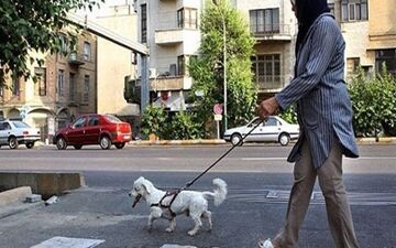 سگ‌گردانی در مراکز عمومی لواسان ممنوع است