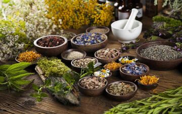 اصول طلایی تغذیه در طب سنتی برای سلامت پایدار