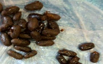 خرده فروش موادمخدر در سیروان دستگیر شد