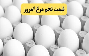 قیمت تخم‌مرغ امروز ۱۴ دی؛ شانه تا ۳۰۰ هزار تومان رسید!