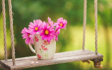 توصیه‌های طب سنتی برای فصل بهار