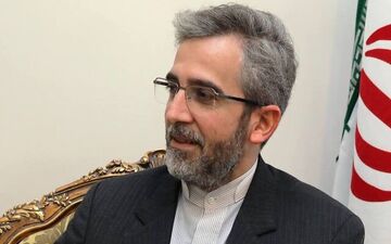 
ورود هیات مذاکره‌کننده ایران به وین 
