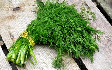یک دوای طبیعی برای دیابت نوع 2