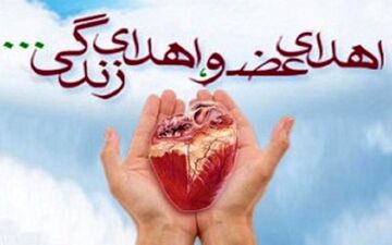 اهدای عضو به 6 بیمار زندگی دوباره بخشید