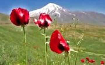 دماوند زیبا از منظر کاروانسرای قصر بهرام