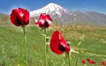 دماوند زیبا از منظر کاروانسرای قصر بهرام