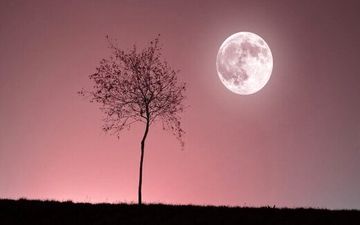 ماه صورتی امشب را از دست ندهید