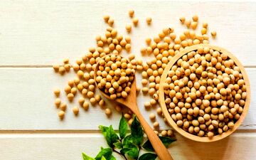 تاثیرات پروتئین گیاهی سویا بر بدن