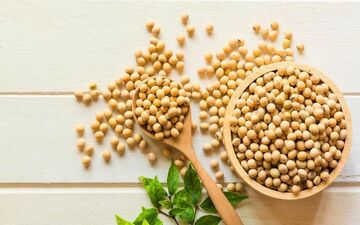 تاثیرات پروتئین گیاهی سویا بر بدن