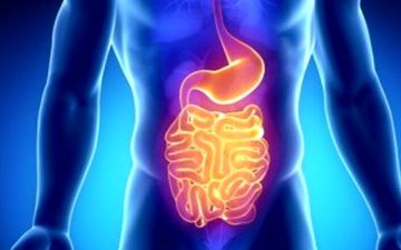 یک سوال مهم| چرا ورزش‌ برای سلامتی روده خوب است؟

