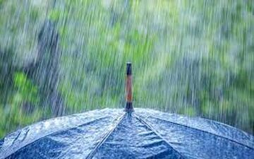 پیش بینی آب و هوا /بارش برف و باران در شمال کشور