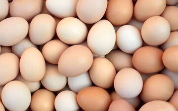 به این دلیل هفته ای یکبار تخم مرغ بخورید