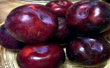 
برای جلوگیری از ابتلا به پوکی استخوان این میوه را بخورید