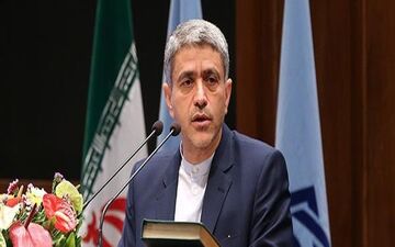 دفاع طیب نیا از عملکرد دولت/ با پرداخت یارانه نمی‌توان اشتغال ایجاد کرد