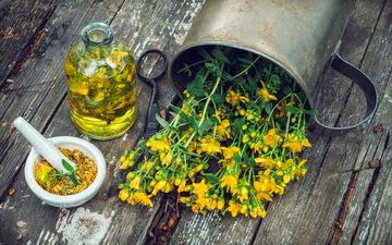 گلی که به درمانگر افسردگی مشهور است/ با این داروها مصرف نکنید