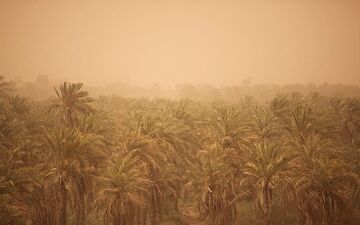 ابداع روشی نوین برای مهار ریزگردها