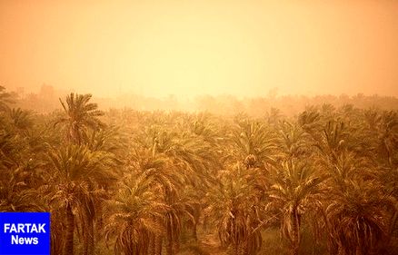 ابداع روشی نوین برای مهار ریزگردها