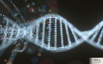 تحولی عظیم در ذخیره سازی اطلاعات روی مولکول‌های DNA
