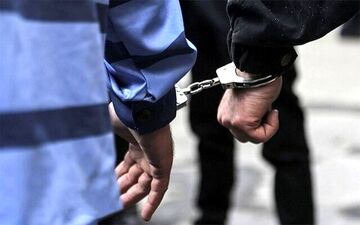 دستگیری عامل ایجاد مزاحمت در فضای مجازی
