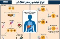 پویش ملی حذف هپاتیت در استان البرز آغاز شد