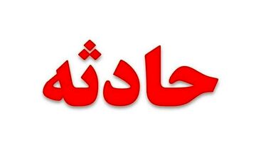 قاتل دختر ۱۹ ساله درگیری فیزیکی مقتول با برادرش را لو داد