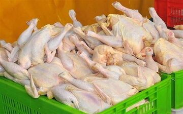 هر کیلو مرغ 100 هزار تومان ناقابل! / چرخ کرده مستضعفی۳۳۰ هزار تومانش
