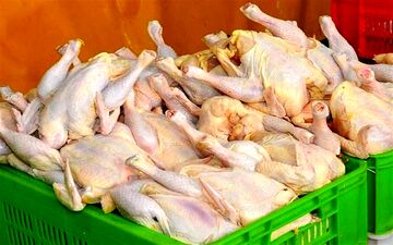 هر کیلو مرغ 100 هزار تومان ناقابل! / چرخ کرده مستضعفی۳۳۰ هزار تومانش

