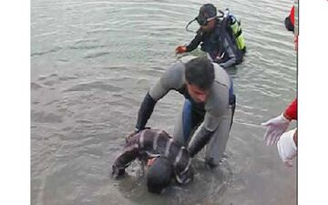 اسامی ۱۴گردشگر نجات در حادثه دزفول / 6 گردشگر هنوز پیدا نشده اند + عکس 