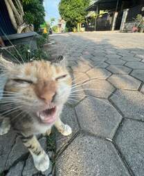 i-am-a-photographer-tiktok-trend-funny-65322f8e4cae0700-654480a67c0c309f944305c2