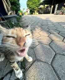 i-am-a-photographer-tiktok-trend-funny-65322f8e4cae0700-654480a67c0c309f944305c2