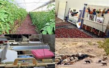 ۱۰۰ هزار نفر از شاغلان روستایی بیمه می‌شوند