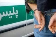 سرانجامِ رفتار وحشیانه با یک سگ در تالش/ حیوان‌آزار ۴۶ ساله دستگیر شد