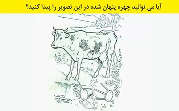 تست بینایی| 8 ثانیه فرصت داری چهره مخفی در این تصویر را پیدا کنی!