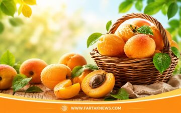 خواص زردآلو در تابستان؛ ۷ فایده شگفت‌انگیز این میوه برای سلامتی