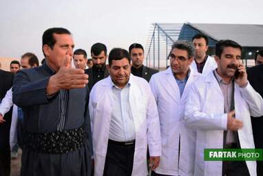 گزارش تصویری بازدید از گاوداری 1000رأسی کاوات در روستای حسن آباد از توابع شهرستان روانسر