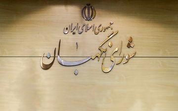 طرح تشکیل وزارت بازرگانی در شورای نگهبان رد شد