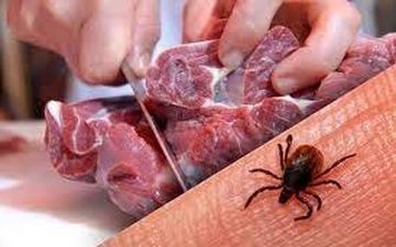 
ابتلای انسانی تب کریمه کنگو در نزدیکز مرز خراسان جنوبی؟