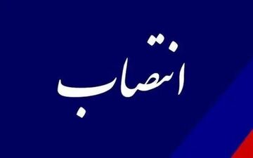 حسن محمدی به هیئت‌مدیره هلدینگ فنحاب منصوب شد