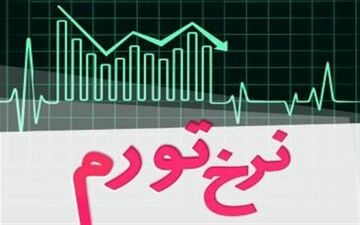 در تورم افسارگسیخته کشور ،دولت مقصر است!