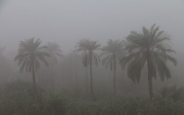 لغو پروازهای فرودگاه اهواز به دلیل مه غلیط؛ مسافران در بلاتکلیفی ماندند