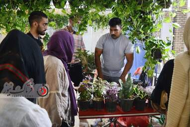 آغاز بکار هشتمین نمایشگاه تخصصی گل و گیاه و گیاهان دارویی در کرمانشاه