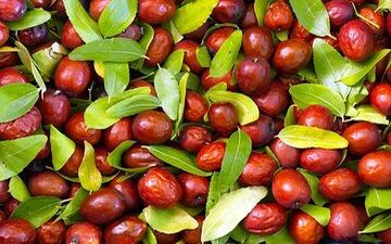 این میوه برای سلامت جنسی مردان غوغا می کند!

