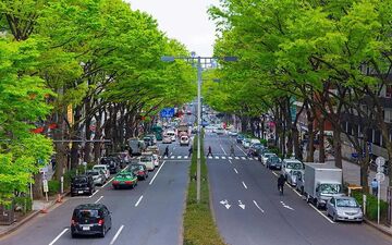 خودروهای محبوب ژاپنی؛ جای خالی لندکروز در خیابان‌ها