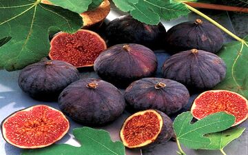  میوه‌ای که همچون داروخانه‌ای طبیعی عمل می‌کند + اینفوگرافی