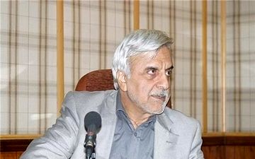 هاشمی‌طبا: گفتن این که دولت این کند و آن کند ساده است + فیلم