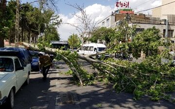 هشدار وزش بادهای شدید در ۱۱ استان