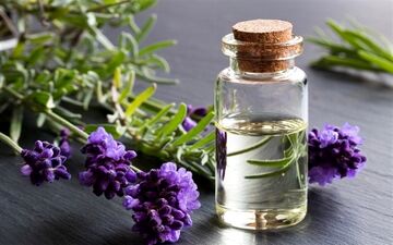 منع مصرف داروهای گیاهی در زنان باردار