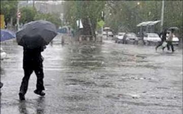 90 درصد محصولات سردرختی شهرستان قاین آسیب دید 